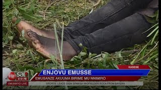 ENJOVU EMUSSE - Emusanze akuuma birime mu nnimiro