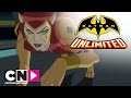 De race is begonnen: Batman en Flash Vs Cheetah | Batman Unlimited | Cartoon Network