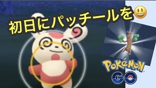 新タスクでパッチール！（ポケモンGO）