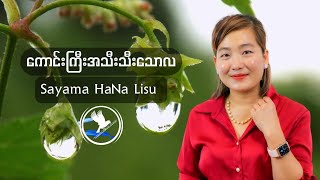 ကောင်းကြီးအသီးသီးသောလ / Sayama HaNa Lisu