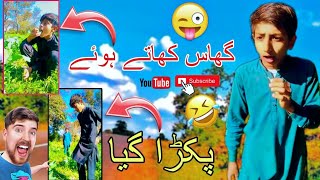 Grass khaty hoay Pakra gia | Funny video | Watch Now | Please subscribe My YouTube channel