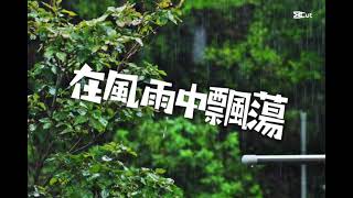 在風雨中飄蕩（原創歌詞）（請勿盜用or搬運）