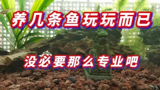 就想养几条鱼玩而已，没必要学的那么专业吧，古法生态缸省心养鱼