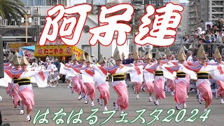 阿呆連2回目＠阿波おどり・はなはるフェスタ2024 徳島藍場浜