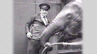 TV Heroes: Johnny Morris (1993) - FULL EPISODE