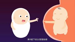 【飞碟说】第二季 45 剩男生存报告