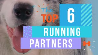 The Top 6 Dogs That Make a Great Running Partner