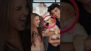 Lexi's Dog came back to LIVE! #shorts #lexirivera #brentrivera