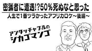 密猟者に遭遇!?50％死ぬなと思った【アンタッチャブルのシカゴマンゴ】