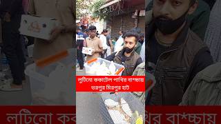 লুটিনো ককাটেল পাখির বাচ্চায় ভরপুর মিরপুর পাখির হাট | পাখি | Pakhi | পাখির হাট | Pakhir Hat #shorts