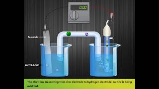 Standard Hydrogen Electrode | Construction \u0026 Working | #LearnEngg #chemistry