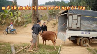 Chú Rể Người Quảng Ninh Lấy Cô Gái Tày Tây Bắc #1 - Khâu Chuẩn Bị Đám Cưới M.ổ 1 Bò, 2 Lợn, 100kg Gà