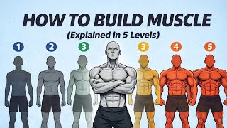 How to Build Muscle (Explained in 5 Different Levels)