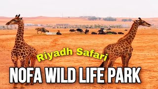 Nofa Wildlife Park|Riyadh Safari|Saudi Arabia|Achayanz Vlogs.