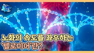 노화의 속도를 좌우하는 '텔로미어'란? MBN 230106 방송