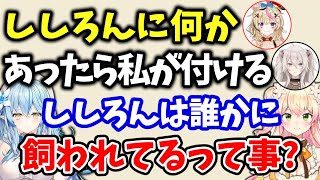 ししろんが付けているドッグタグについて話すラミィと、ねねち【桃鈴ねね/獅白ぼたん/雪花ラミィ/尾丸ポルカ/ホロライブ切り抜き】