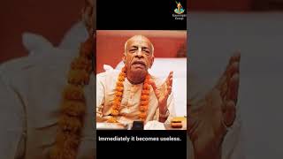 Nobody is very serious what is that thing || HDG Srila Prabhupada #shorts