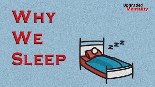 Why We Sleep by Matthew Walker – Animated Book Summary