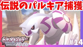 パルキア捕獲！専用レアアイテムのしらたまゲット！伝説のポケモン捕獲にドキドキ！#14【ポケモンBDSP　ポケモンシャイニングパール】