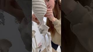 Our anatomy teacher demonstrates the process of creating an écorché in clay to explai...