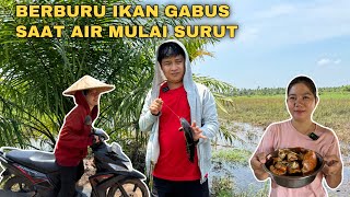 YUK LIHAT KAMI TAJUR IKAN GABUS KIRA-KIRA DAPAT BERAPA BANYAK DAN MASAK KEPITING