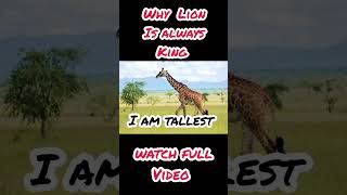 Why Lion Is Always King #shorts #short#video#viral#shortvideo#amv#animals