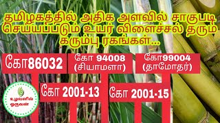 தமிழகத்தில் அதிக அளவில் சாகுபடி செய்யப்படும் உயர் விளைச்சல் தரும் கரும்பு ரகங்கள்...