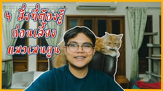 4 สิ่งต้องรู้ก่อนเลี้ยงแมวเมนคูน #เลี้ยงแมว #เมนคูน #ขนาดใหญ่ที่สุดในโลก