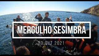 Scuba Diving @ Sesimbra + 14yo OWD training dive