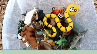 Playing Hide n Seek With Toy ZOO Safari Jungle Wild TOY ANIMALS on Playground SLIDES-Kids Fun Learn