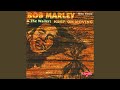 Hypocrites Dub - Original