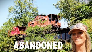 Forgotten on the Tracks: Abandoned Train Cars in Catawissa