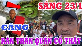 🔴TRỰC TIẾP SÁNG 23/1 CHẤN ĐỘNG RẮN THẦN QUẤN CỔ THẦY ĐOÀN VĂN BÁU - VỀ ĐẤT PHẬT