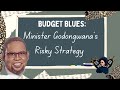 Budget Blues: Minister Godongwana's Risky Strategy