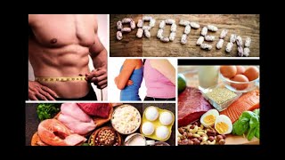 How Protein for Breakfast Aids In Weight Loss + Recipes 2020