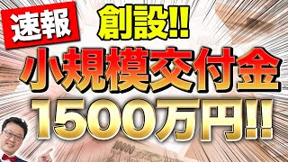 【速報】小規模でも最大1500万円貰える「ヤバい交付金」がついに登場！この動画を見たら今すぐ申請してください！