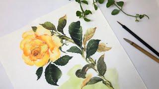 한국화로 그리는 노란 장미ㅣHow to draw a roseㅣ한국화입시 동양화 수묵담채ㅣKorean painting