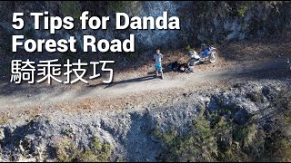 Return to Danda Lindao(丹大林道): 5 Tips to Succeed (2/5/2022)