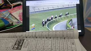 (競馬)第25回京都ハイジャンプ(ジャンプGⅡ)ジャンプダイジェスト