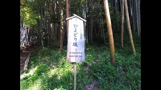 【4K散歩動画】Walkking around  Hiyodori slope　佐倉　サムライの古径（こみち）　ひよどり坂　散歩