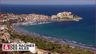 Calvi, capitale de la Balagne