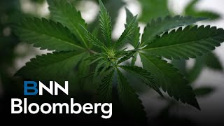 We've got what we need in flower and facilities: Tilray CEO on growing market share with Hexo deal