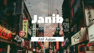 Janib ( Slowed +Reverb ) Atif Aslam Full Song Best Song