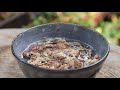 how to ginkgo sowing also for bean bonsai pots【bonsai diary 11 20】easy bonsai for beginners eos r5