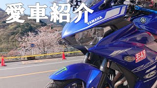 【愛車紹介】どんなカスタムしているか愛車紹介してみた【YZF-R25】【モトブログ】