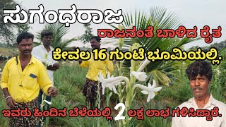 16 ಗುಂಟೆಯಲ್ಲಿ #ಸುಗಂಧರಾಜ / 2 ಲಕ್ಷ ಆದಾಯ ಪಡೆದ ರೈತ / ಪ್ರತಿನಿತ್ಯ 1000-1500 ಗಳಿಕೆ /