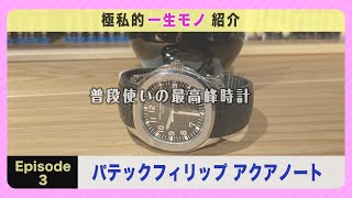 極私的一生モノ紹介 〔アクアノート/パテックフィリップ編〕