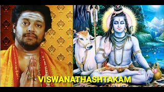 Viswanathashtakam | വിശ്വനാഥാഷ്ടകം