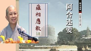 雜阿含經-蘊相應教18 昭慧法師主講 2009年阿含述要講座18