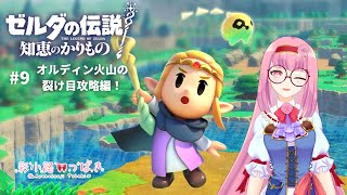 【ゼルダの伝説 知恵のかりもの】借りたものは返しません #9【Vtuber】【彩小路つばき】